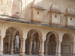 Jaipur (91)